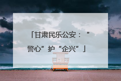 甘肃民乐公安：“警心”护“企兴”