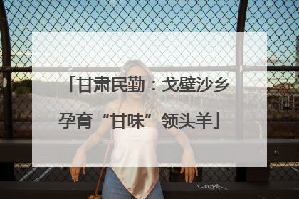 甘肃民勤：戈壁沙乡孕育“甘味”领头羊