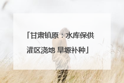 甘肃镇原：水库保供 灌区浇地 旱塬补种