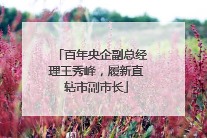 百年央企副总经理王秀峰,履新直辖市副市长