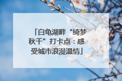 白龟湖畔“绮梦秋千”打卡点：感受城市浪漫温情