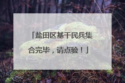 盐田区基干民兵集合完毕，请点验！