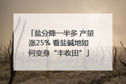盐分降一半多 产量涨25% 看盐碱地如何变身“丰收田”