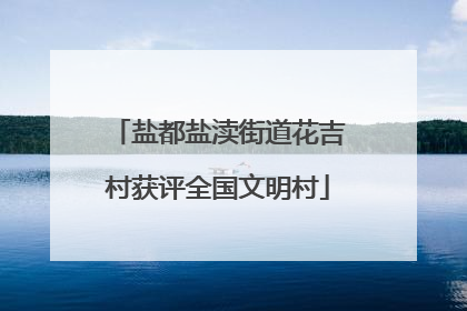 盐都盐渎街道花吉村获评全国文明村