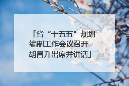 省“十五五”规划编制工作会议召开 胡昌升出席并讲话