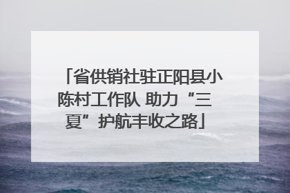 省供销社驻正阳县小陈村工作队 助力“三夏”护航丰收之路