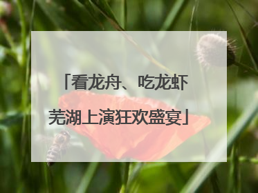 看龙舟、吃龙虾 芜湖上演狂欢盛宴