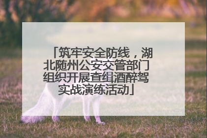筑牢安全防线，湖北随州公安交管部门组织开展查缉酒醉驾实战演练活动