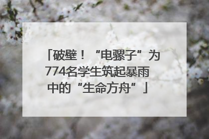 破壁！“电骡子”为774名学生筑起暴雨中的“生命方舟”