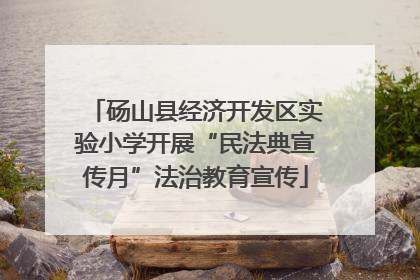 砀山县经济开发区实验小学开展“民法典宣传月”法治教育宣传