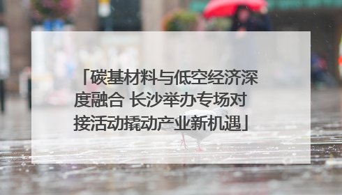 碳基材料与低空经济深度融合 长沙举办专场对接活动撬动产业新机遇