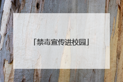 禁毒宣传进校园