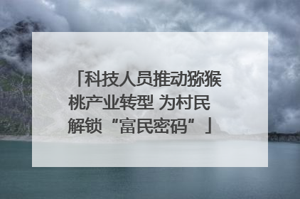 科技人员推动猕猴桃产业转型 为村民解锁“富民密码”