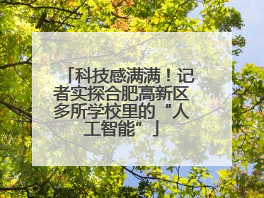 科技感满满！记者实探合肥高新区多所学校里的“人工智能”