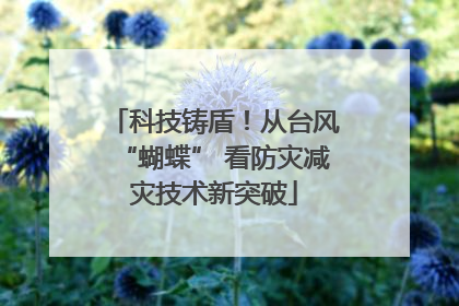 科技铸盾！从台风“蝴蝶” 看防灾减灾技术新突破