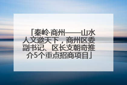 秦岭·商州——山水人文邀天下，商州区委副书记、区长支朝奇推介5个重点招商项目