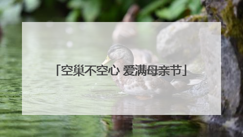 空巢不空心 爱满母亲节