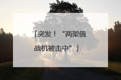 突发！“两架俄战机被击中”
