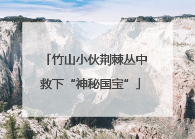 竹山小伙荆棘丛中救下“神秘国宝”