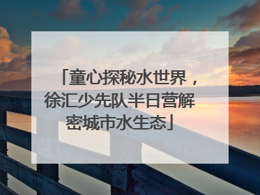 童心探秘水世界，徐汇少先队半日营解密城市水生态