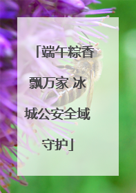 端午粽香飘万家 冰城公安全域守护