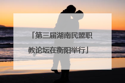 第三届湖南民盟职教论坛在衡阳举行