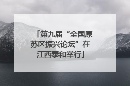 第九届“全国原苏区振兴论坛”在江西泰和举行