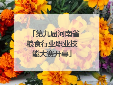 第九届河南省粮食行业职业技能大赛开幕