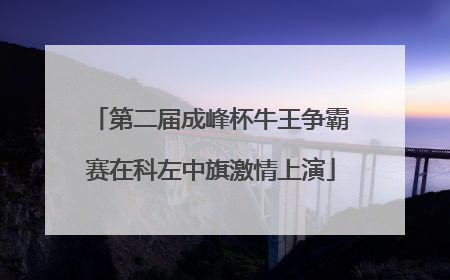 第二届成峰杯牛王争霸赛在科左中旗激情上演