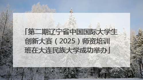 第二期辽宁省中国国际大学生创新大赛（2025）师资培训班在大连民族大学成功举办
