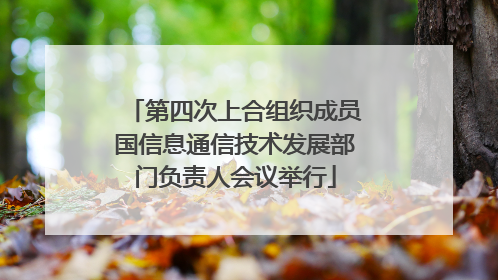 第四次上合组织成员国信息通信技术发展部门负责人会议举行
