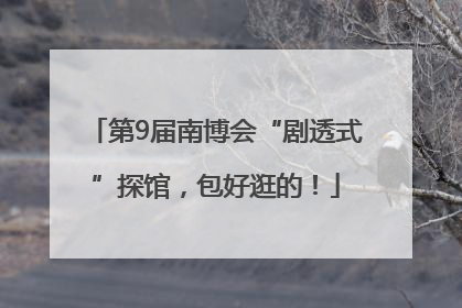 第9届南博会“剧透式”探馆，包好逛的！