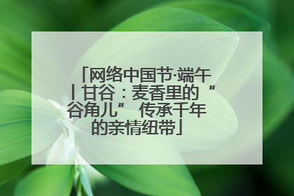 网络中国节·端午丨甘谷：麦香里的“谷角儿” 传承千年的亲情纽带
