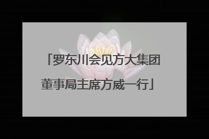 罗东川会见方大集团董事局主席方威一行