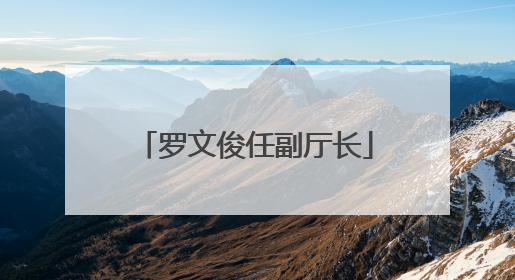 罗文俊任副厅长