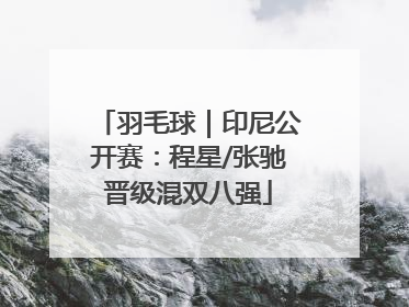 羽毛球｜印尼公开赛：程星/张驰晋级混双八强
