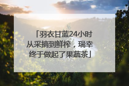 羽衣甘蓝24小时从采摘到鲜榨，瑞幸终于做起了果蔬茶