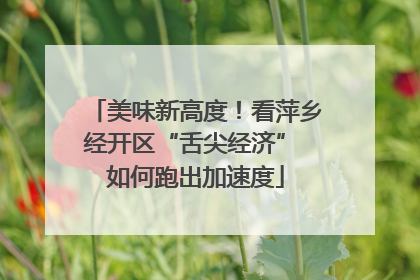 美味新高度！看萍乡经开区“舌尖经济” 如何跑出加速度