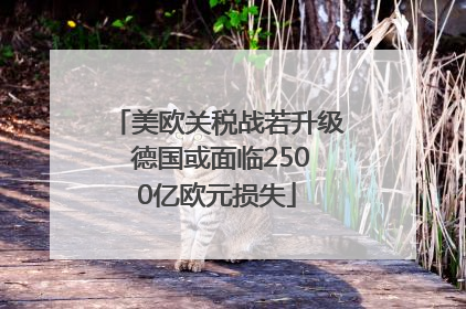 美欧关税战若升级 德国或面临2500亿欧元损失