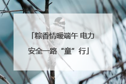 粽香情暖端午 电力安全一路“童”行