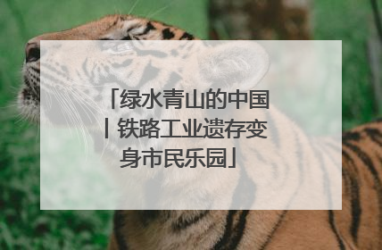 绿水青山的中国丨铁路工业遗存变身市民乐园