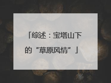 综述：宝塔山下的“草原风情”