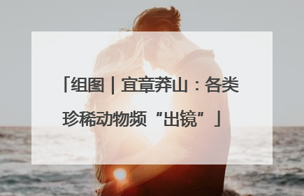 组图｜宜章莽山：各类珍稀动物频“出镜”