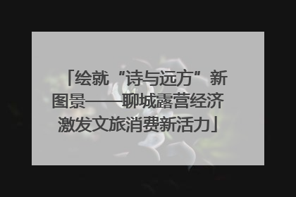 绘就“诗与远方”新图景——聊城露营经济激发文旅消费新活力
