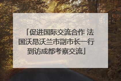 促进国际交流合作 法国沃昂沃兰市副市长一行到访成都考察交流