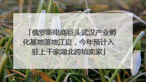 俄罗斯电商巨头武汉产业孵化基地落地江夏，今年预计入驻上千家湖北跨境卖家