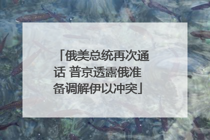 俄美总统再次通话 普京透露俄准备调解伊以冲突