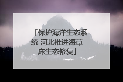 保护海洋生态系统 河北推进海草床生态修复