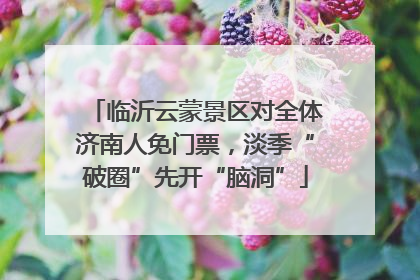 临沂云蒙景区对全体济南人免门票，淡季“破圈”先开“脑洞”