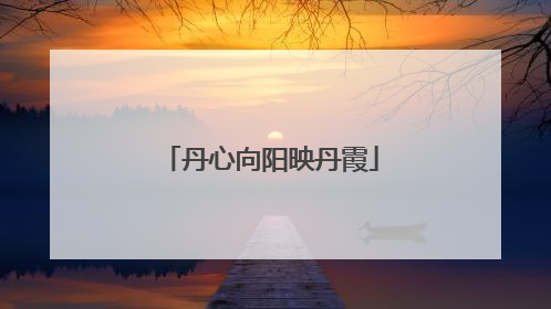 丹心向阳映丹霞